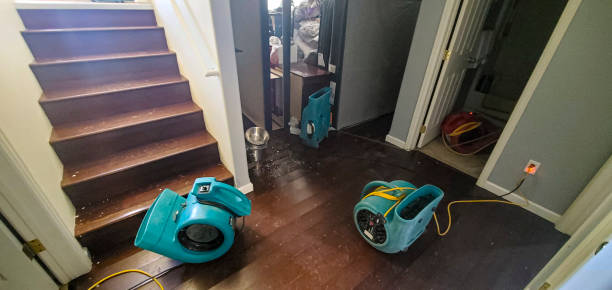 Best Mold removal after water damage  in Robinson, TX