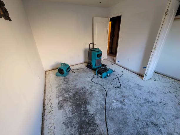 Best Carpet water damage restoration  in Robinson, TX