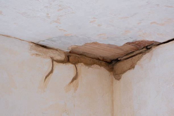 Reliable Robinson, TX Water damage restoration Solutions