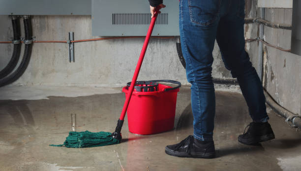 Best Ceiling water damage repair  in Robinson, TX