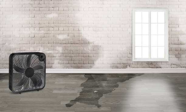 Best Water damage restoration near me  in Robinson, TX