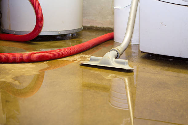 Best Flood restoration services  in Robinson, TX