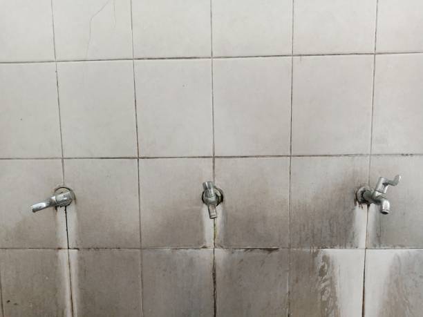 Best Water damage restoration experts  in Robinson, TX