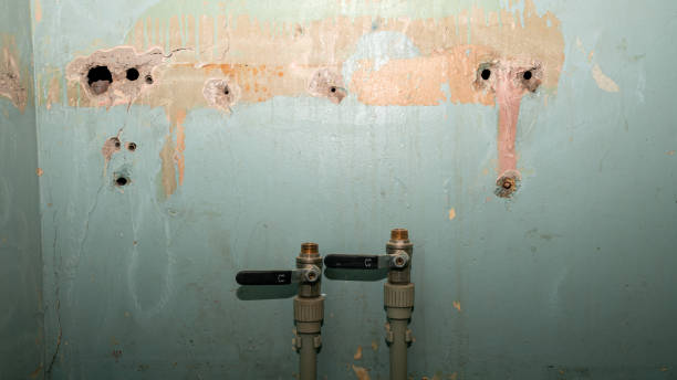 Best Water damage repair service  in Robinson, TX