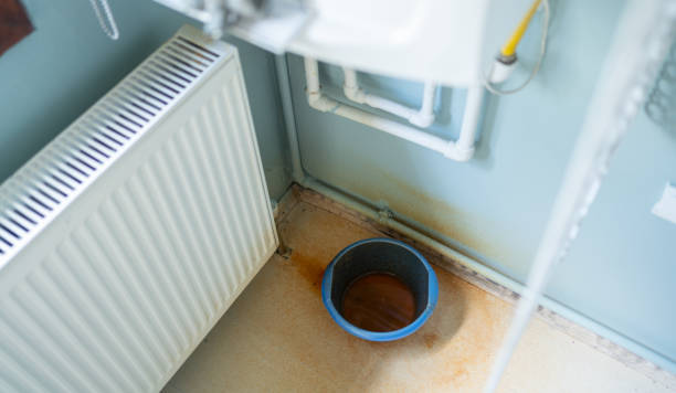Best Ceiling water damage repair  in Robinson, TX